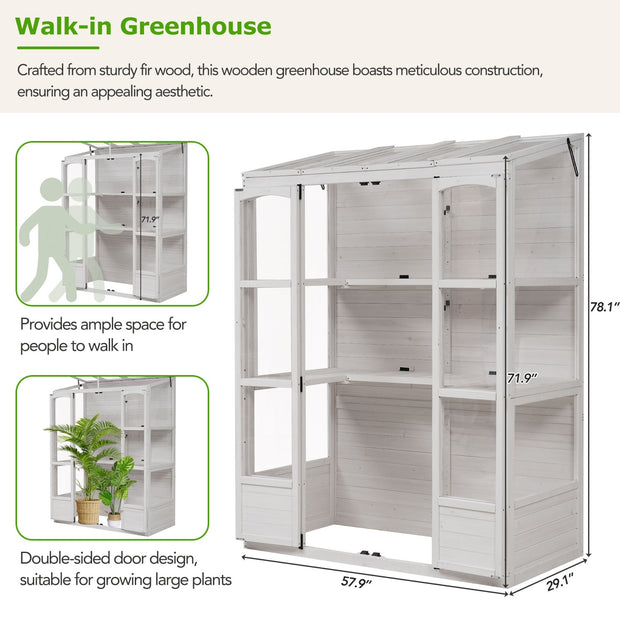 TOPMAX 78-inch Wooden Greenhouse Cold Frame With 4 Independent Skylights And 2 Folding Middle Shelve